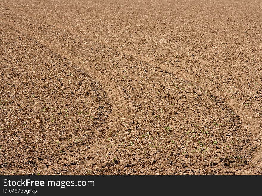 Close-up of a harvested field. Close-up of a harvested field