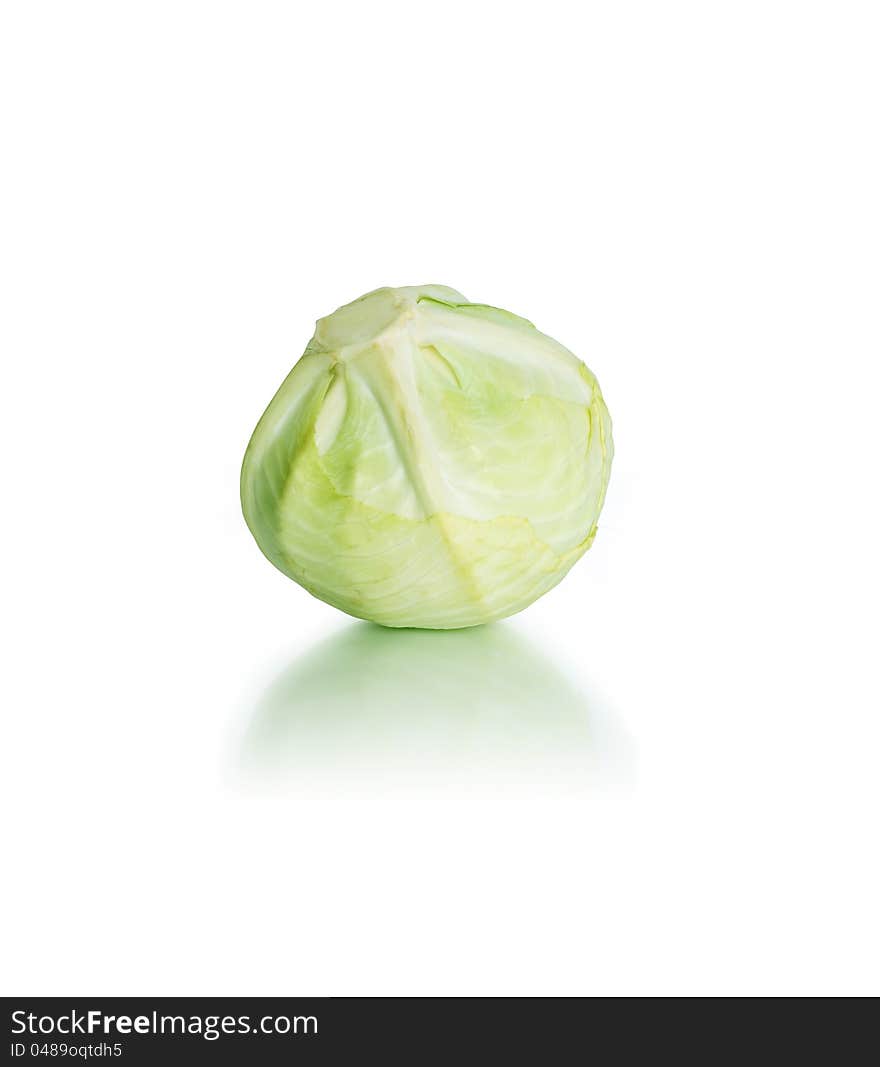 Head Of Cabbage