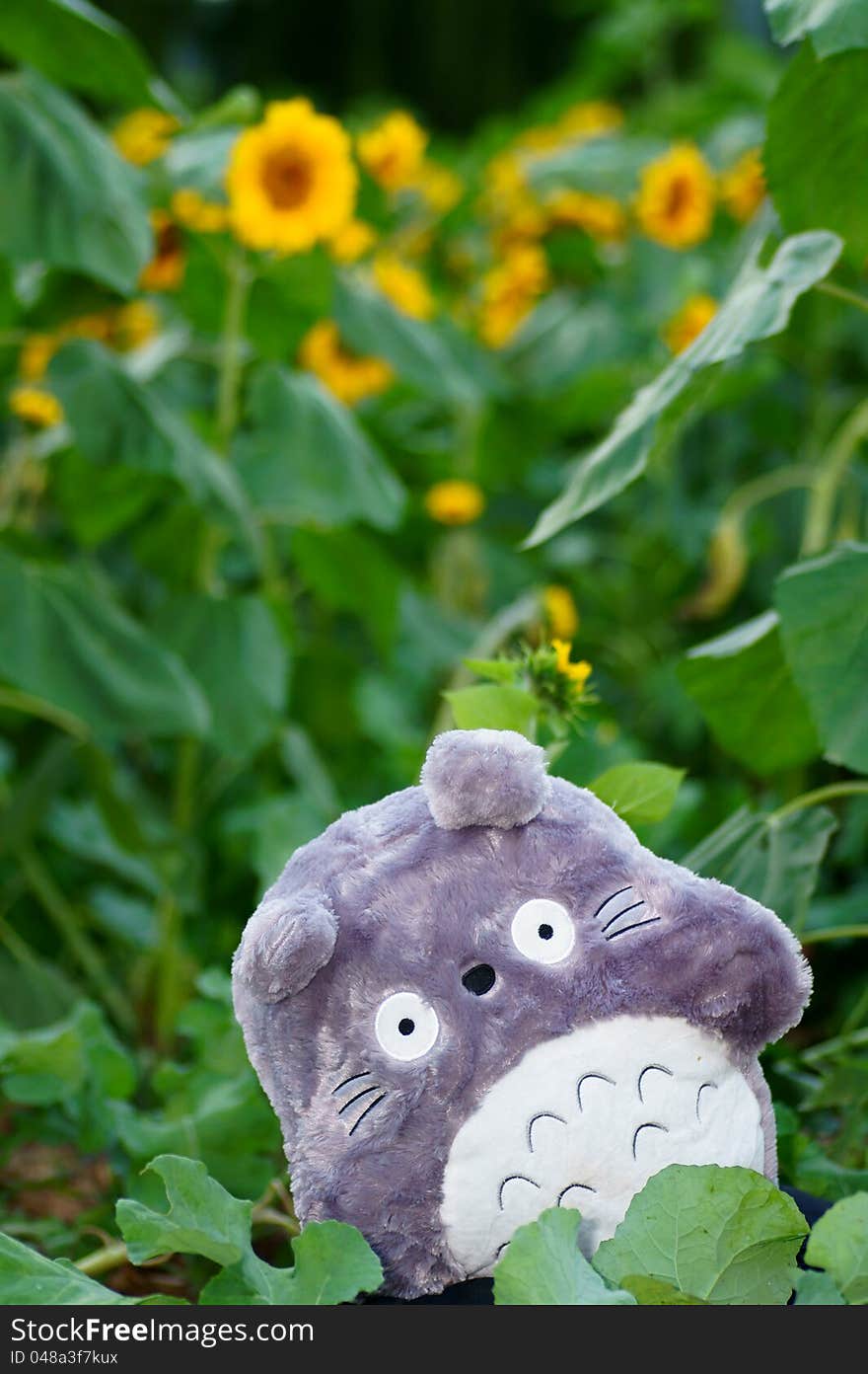 A Doll Of Chinchilla In A Field Of Sunflower