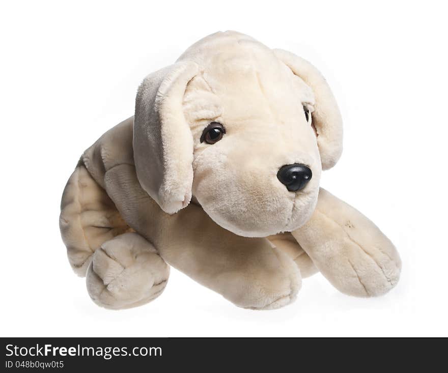 Plush dog