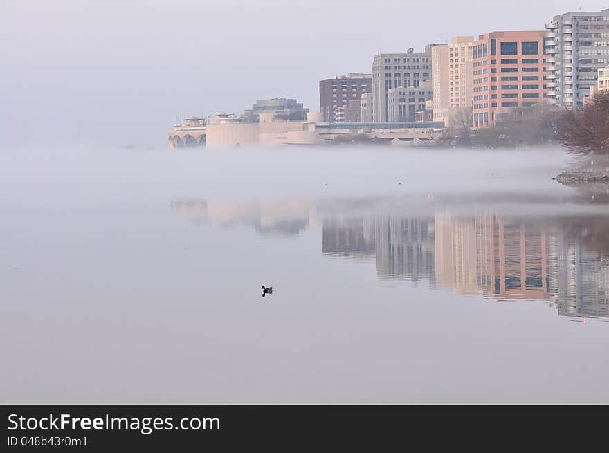 Fog rolling in from the lake to the city. Reflections of the buildings in the lake where the fog has yet to appear. Duck feeding in lake in foreground. Fog rolling in from the lake to the city. Reflections of the buildings in the lake where the fog has yet to appear. Duck feeding in lake in foreground