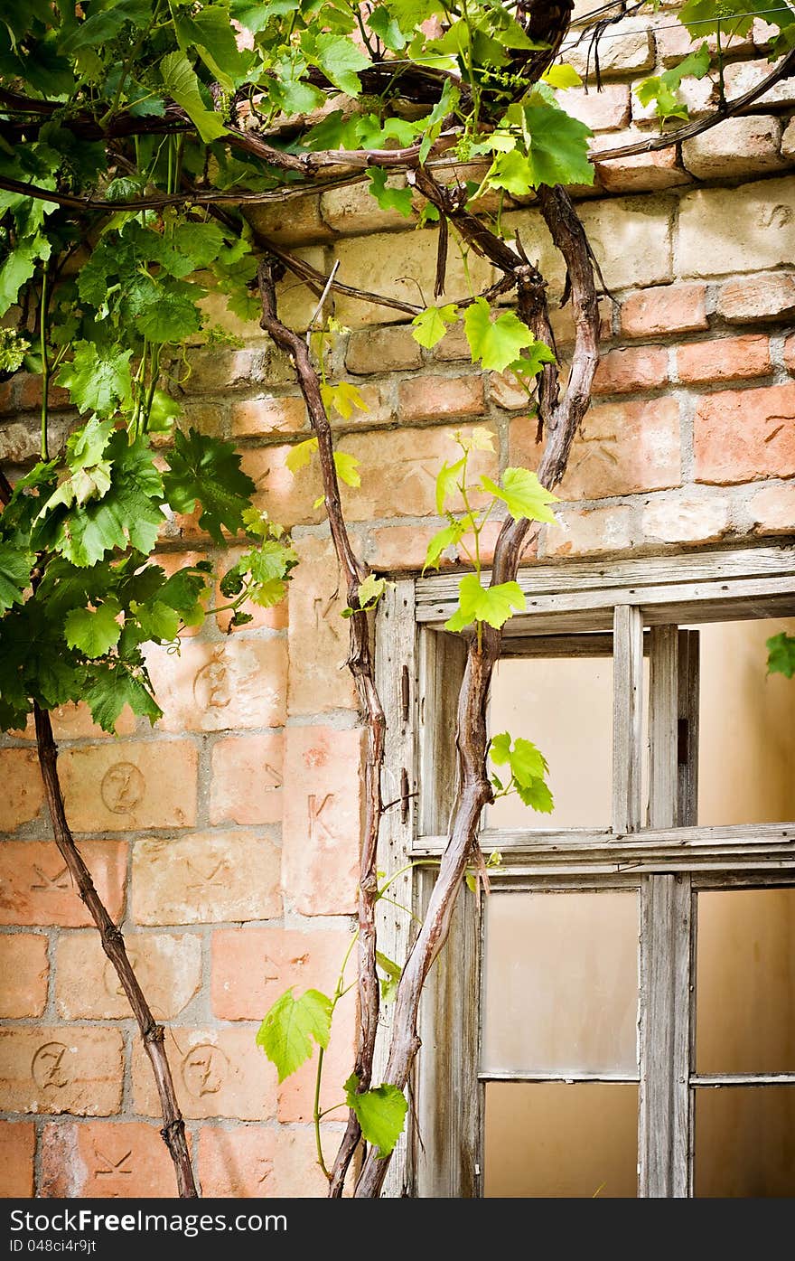 Old window