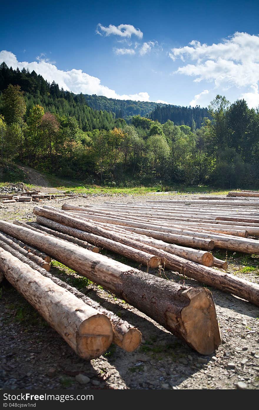 A row of logs lying on the ground, landscape