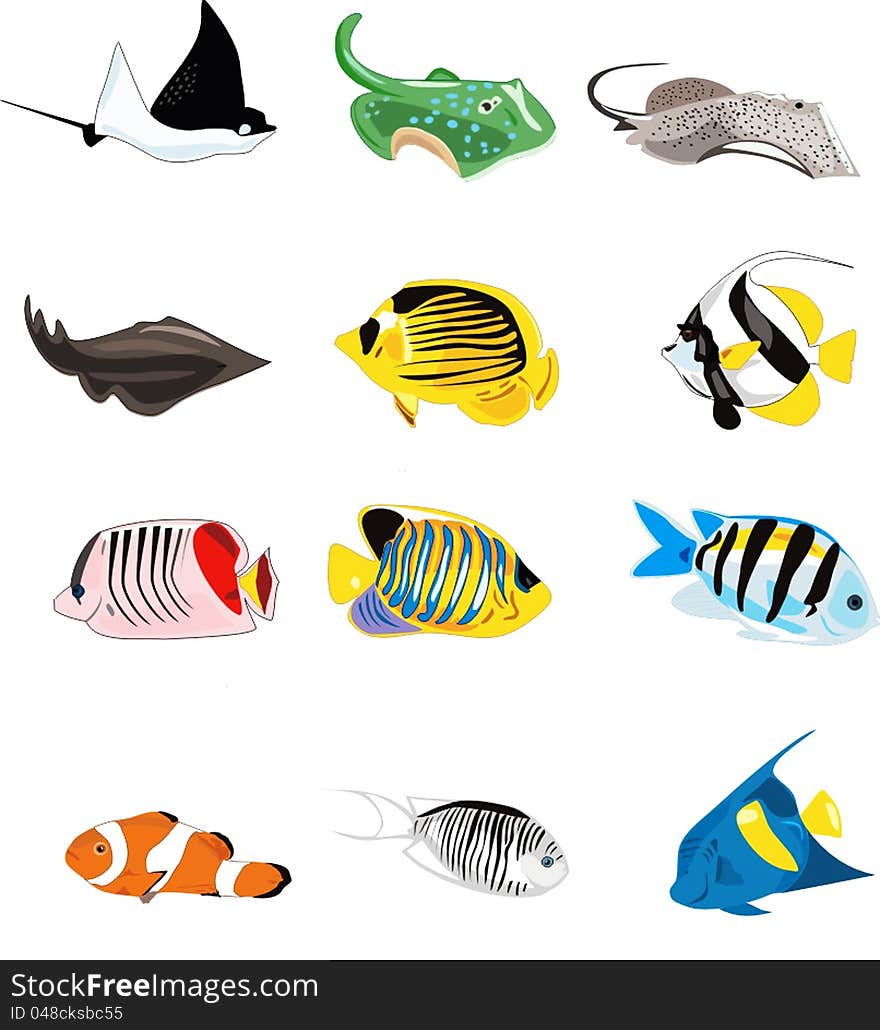 Illustration of many diferent fishes of the ocean. Illustration of many diferent fishes of the ocean