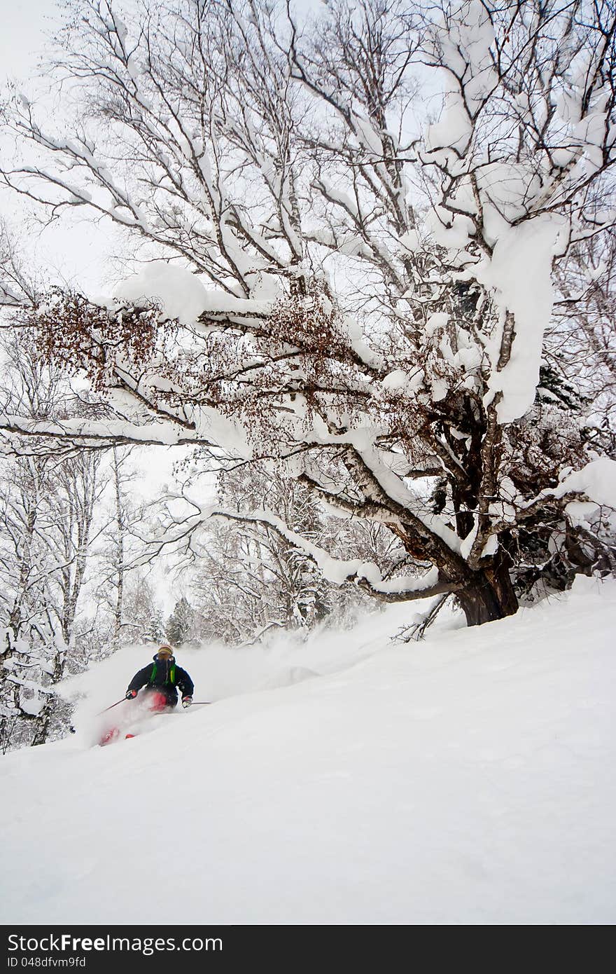 Freerider skiing in Siberia