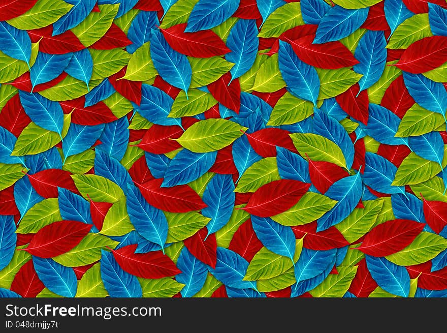 Background of colorful leaf for decoration