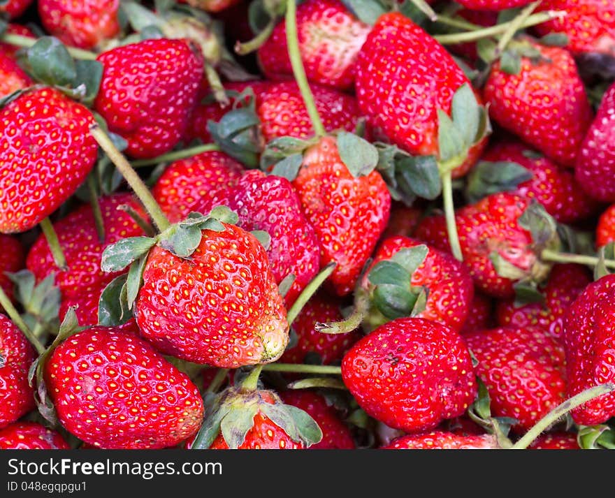 Ripe Red Strawberries in Market