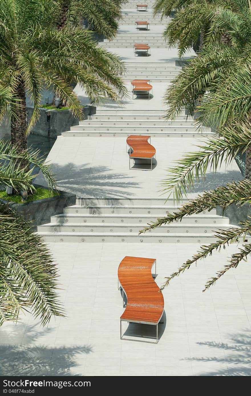 Wood bench on walk step between palm trees