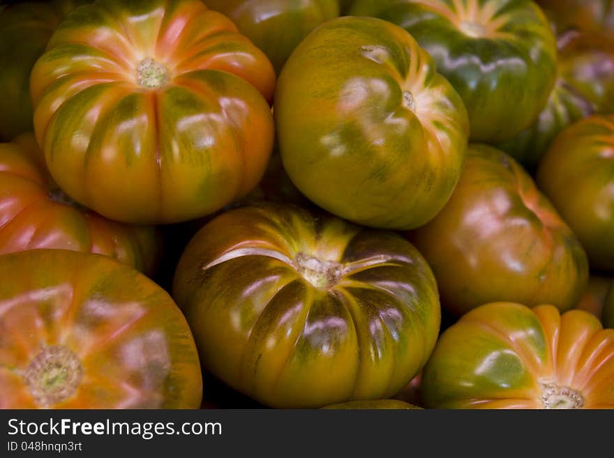 Lots of green spanish tomatoes. Lots of green spanish tomatoes