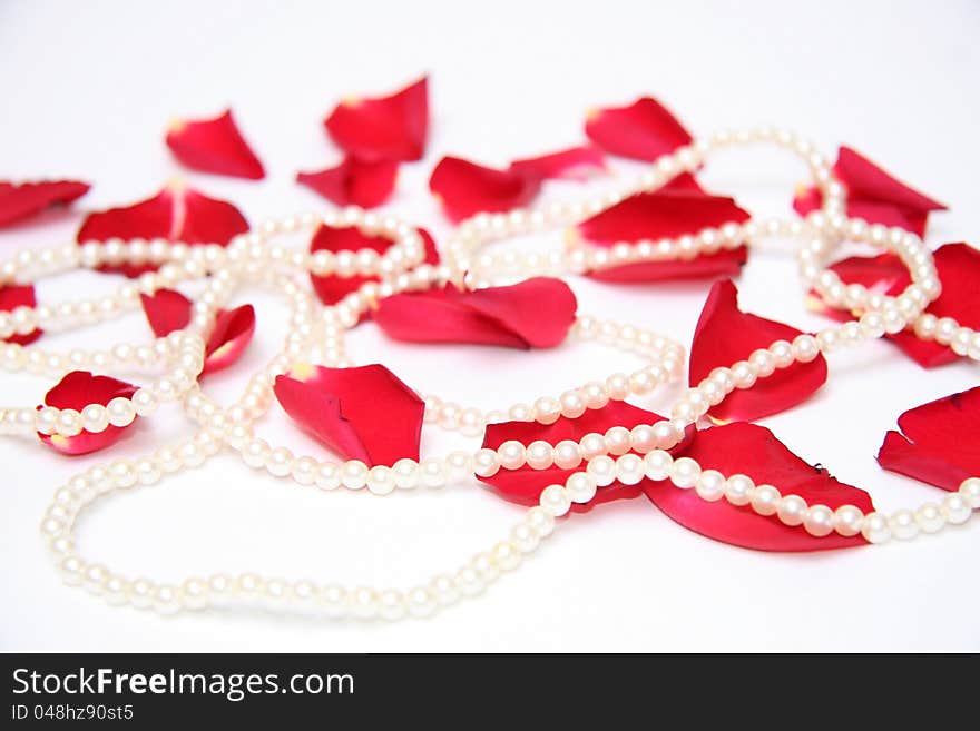 Red rose petals and pearls. Red rose petals and pearls