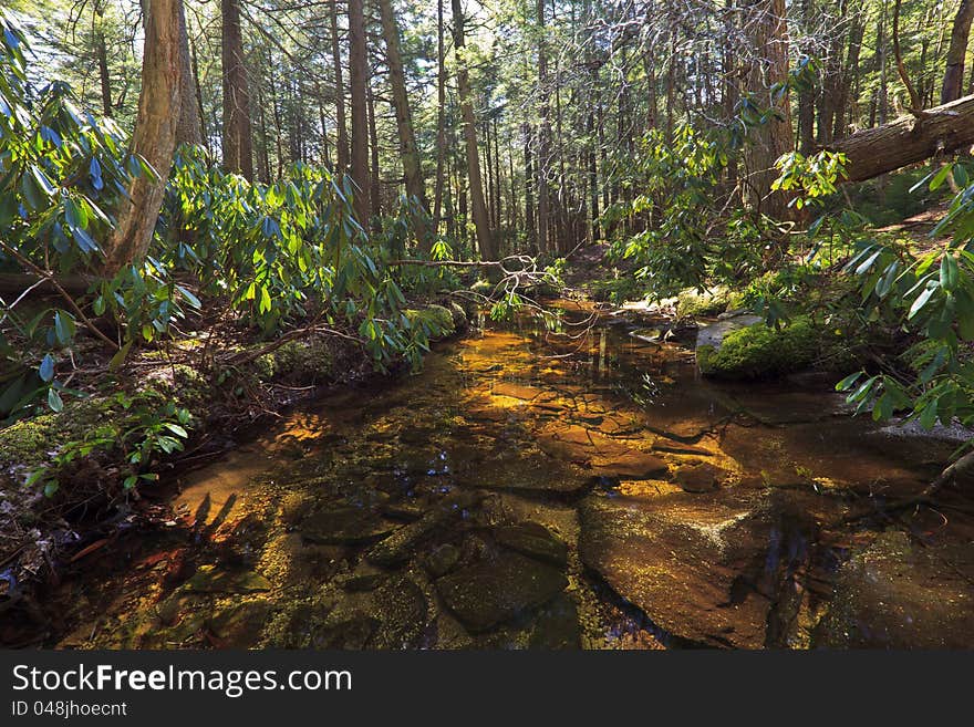 Tannin colored mountain stream and rocks in early spring on a sunny day