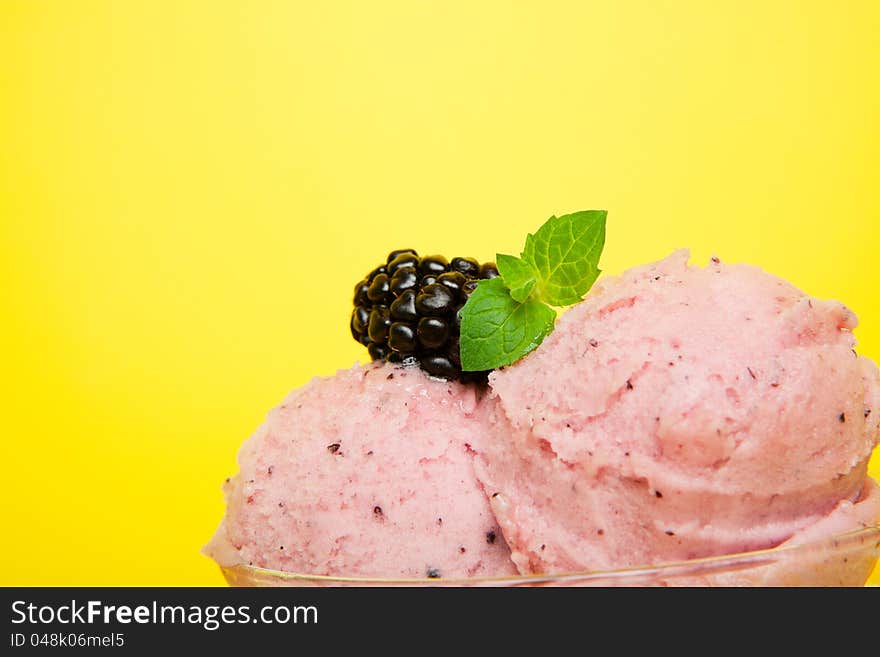 Closeup of tangy saskatoon berry sorbet garnished with a blackberry and a sprig of mint. Closeup of tangy saskatoon berry sorbet garnished with a blackberry and a sprig of mint.