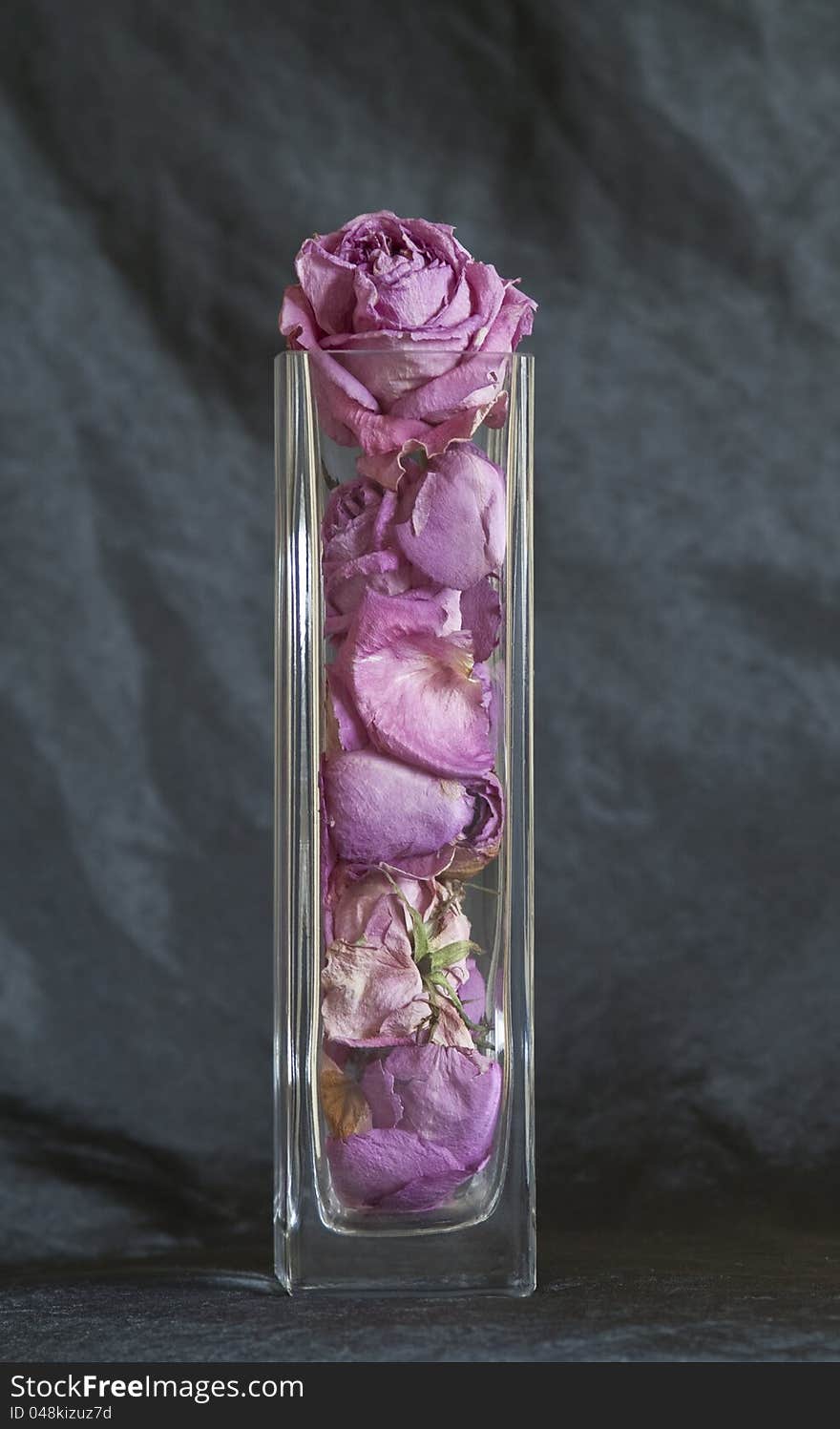 Dried rose bushes in a glass vase on dark background. Dried rose bushes in a glass vase on dark background