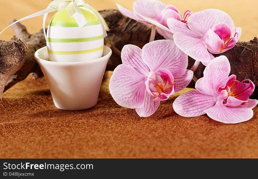 Colorful eggs and pink orchid for easter decoration. Colorful eggs and pink orchid for easter decoration