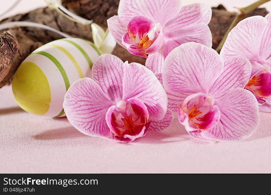 Colorful eggs and pink orchid for easter decoration. Colorful eggs and pink orchid for easter decoration