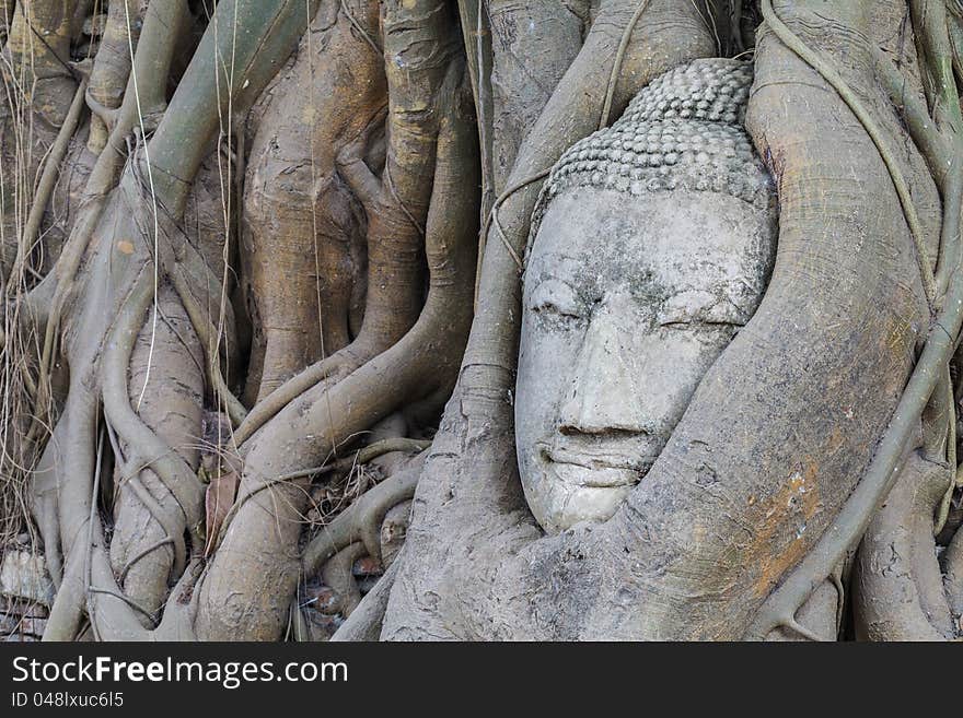 Head of buddha statue, Ayutthaya,Thailand