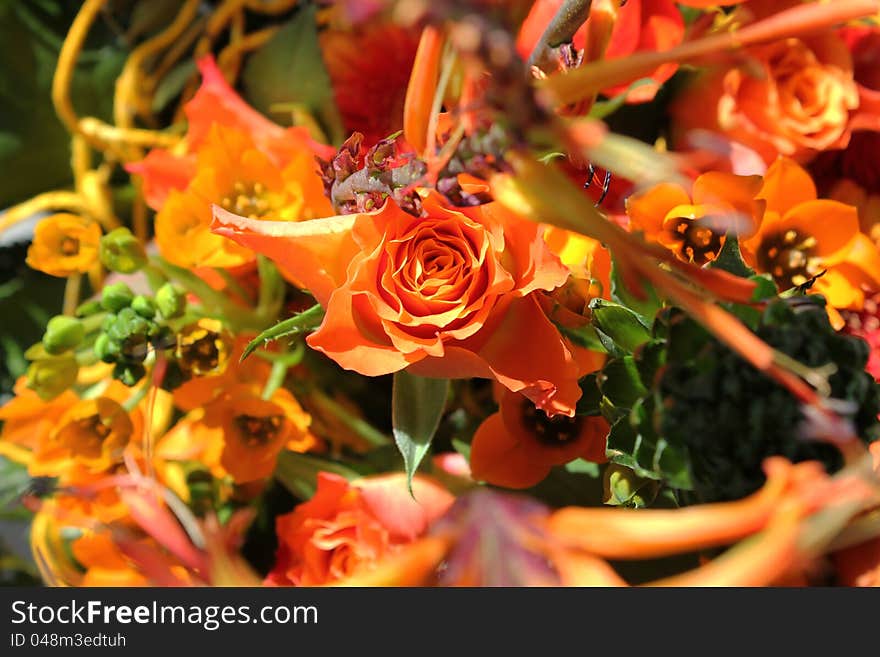 Beautiful bouquet of exotic flowers on a green background