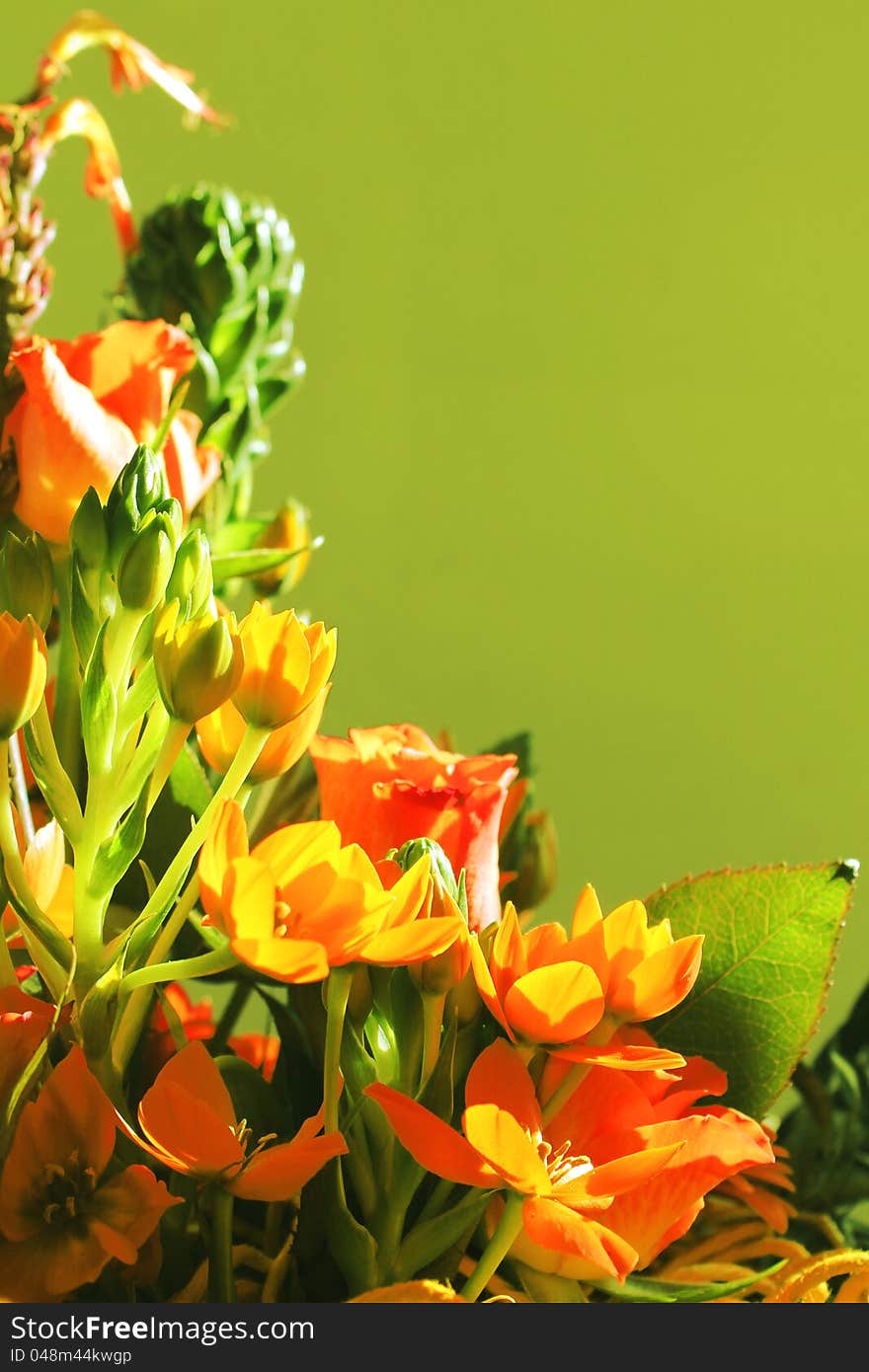 Beautiful bouquet of exotic flowers