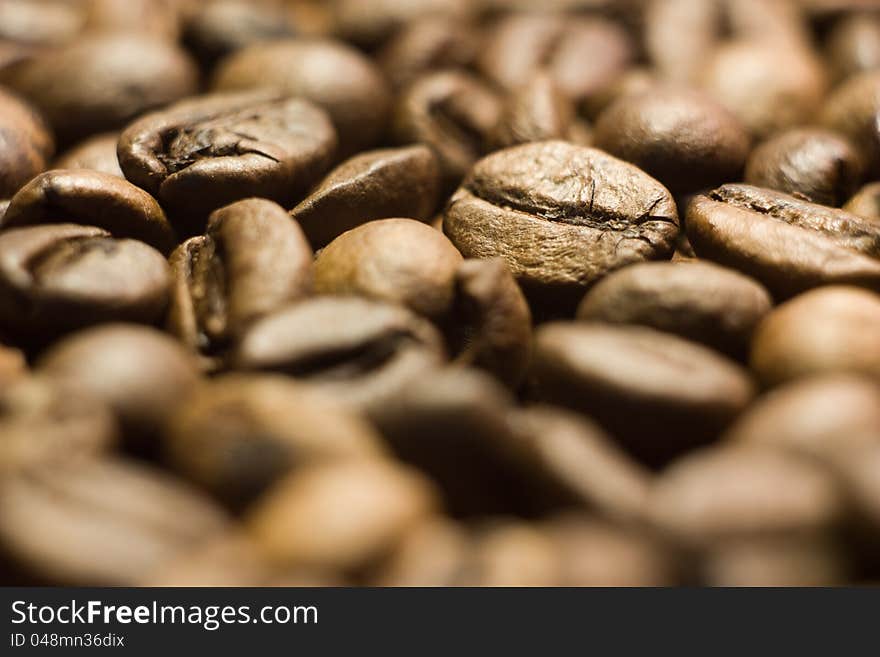 Coffee in grains close up