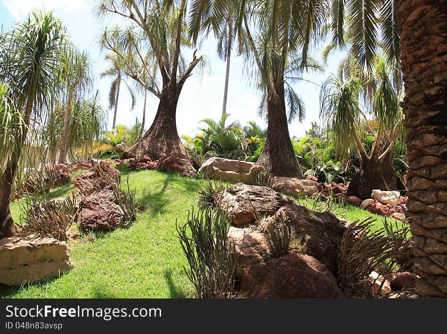 Trees and green grass in the park. Trees and green grass in the park