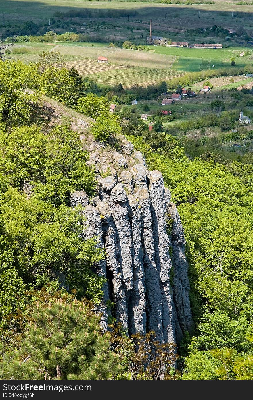 Basalt Organ