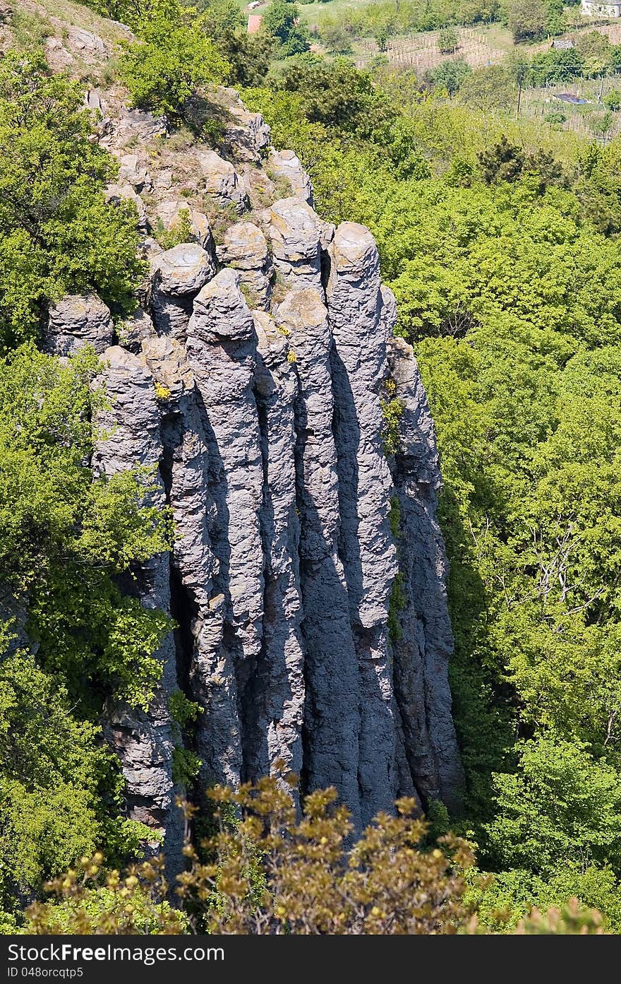 Basalt organ