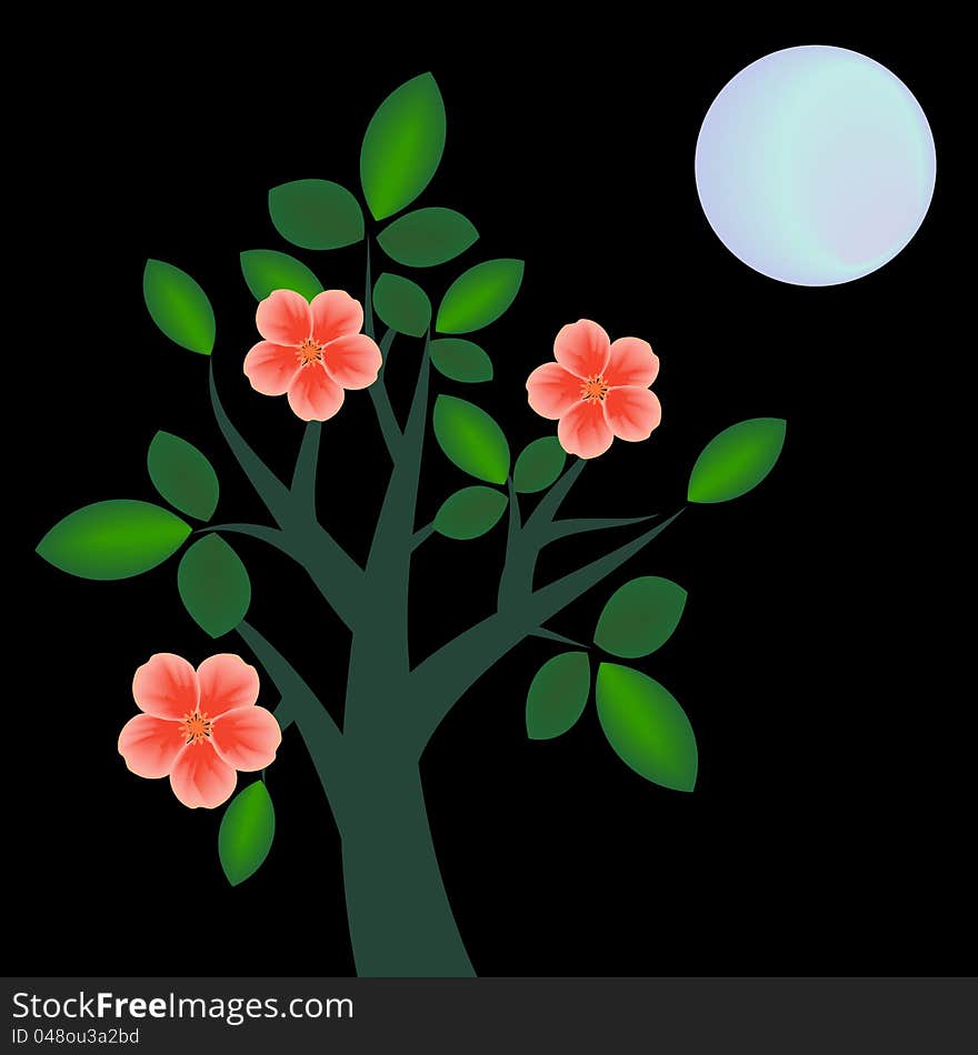 Flowering tree at night and moon