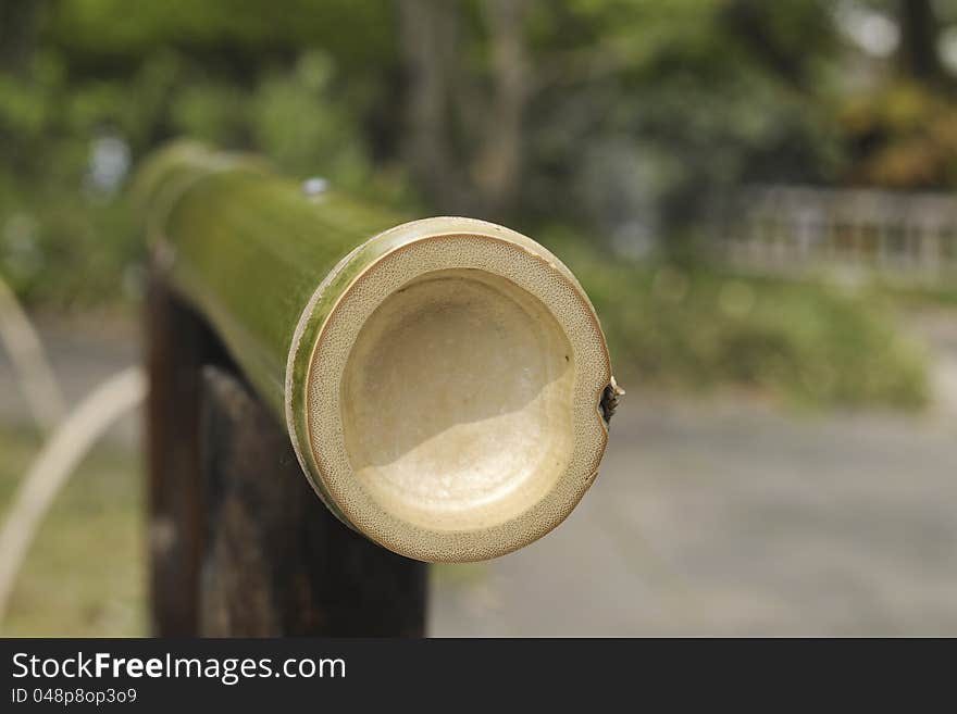 Bamboo pole