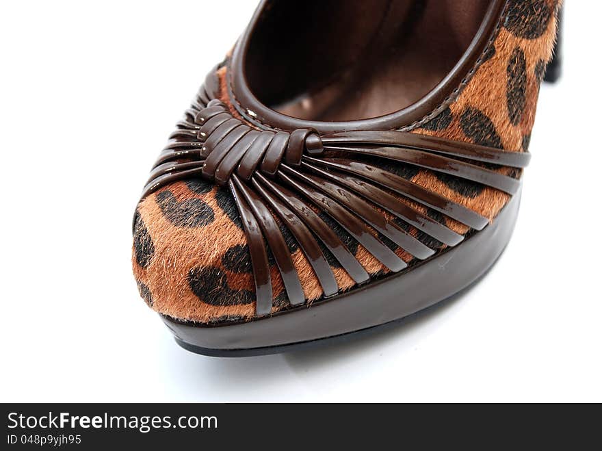 Fashion women`s shoe