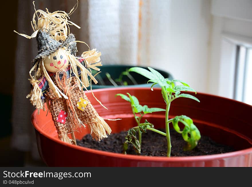 A small scarecrow in flower pot indoor