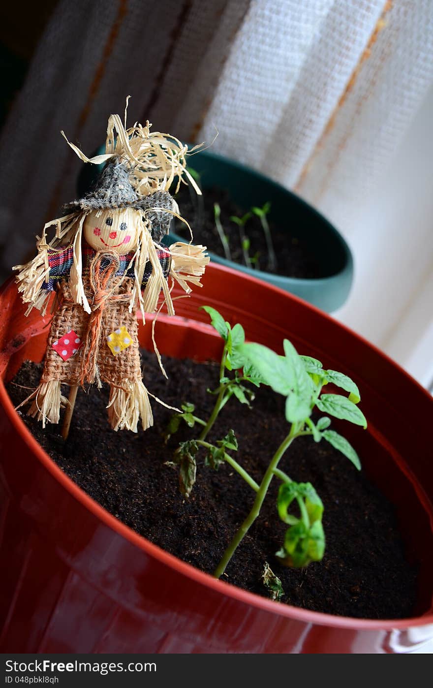 A small scarecrow in flower pot indoor