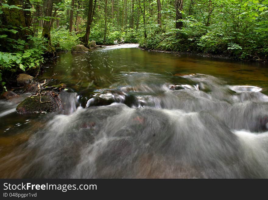 Picture of a stream among a green vegetation. Picture of a stream among a green vegetation