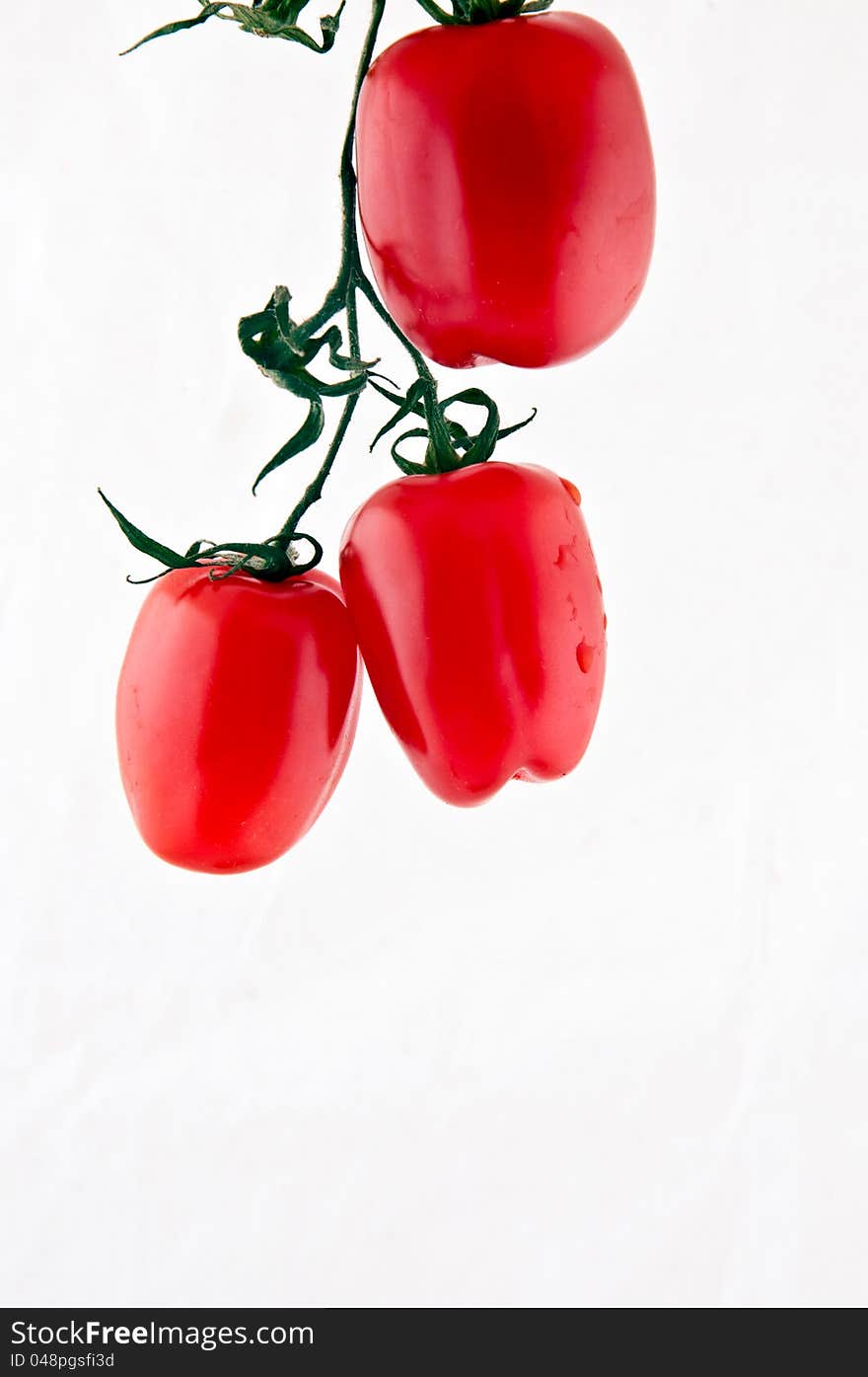 Organic Tomatoes