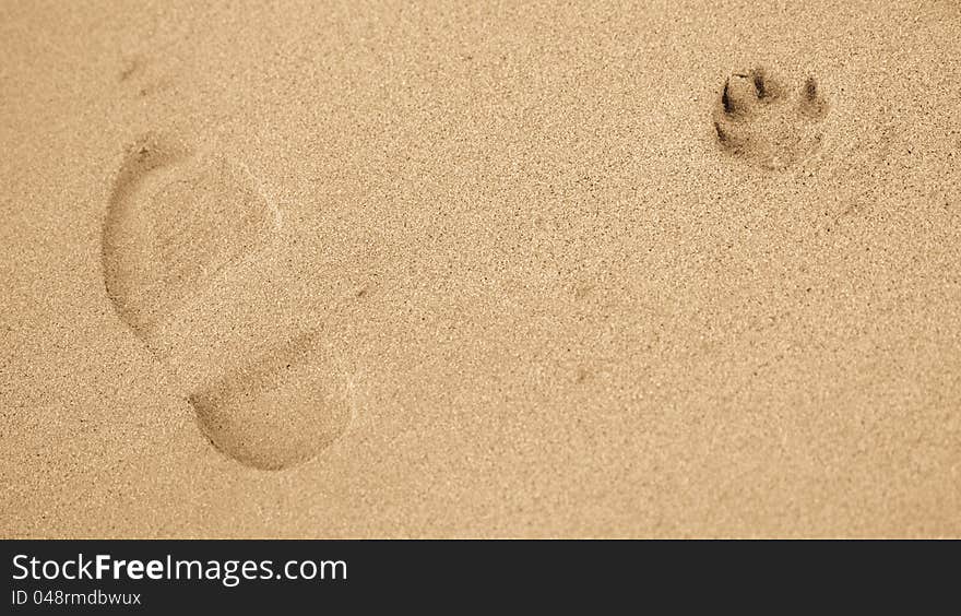 Man and dog footprints in sand