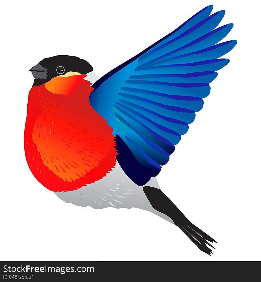 Vector illustration of a bird bullfinch