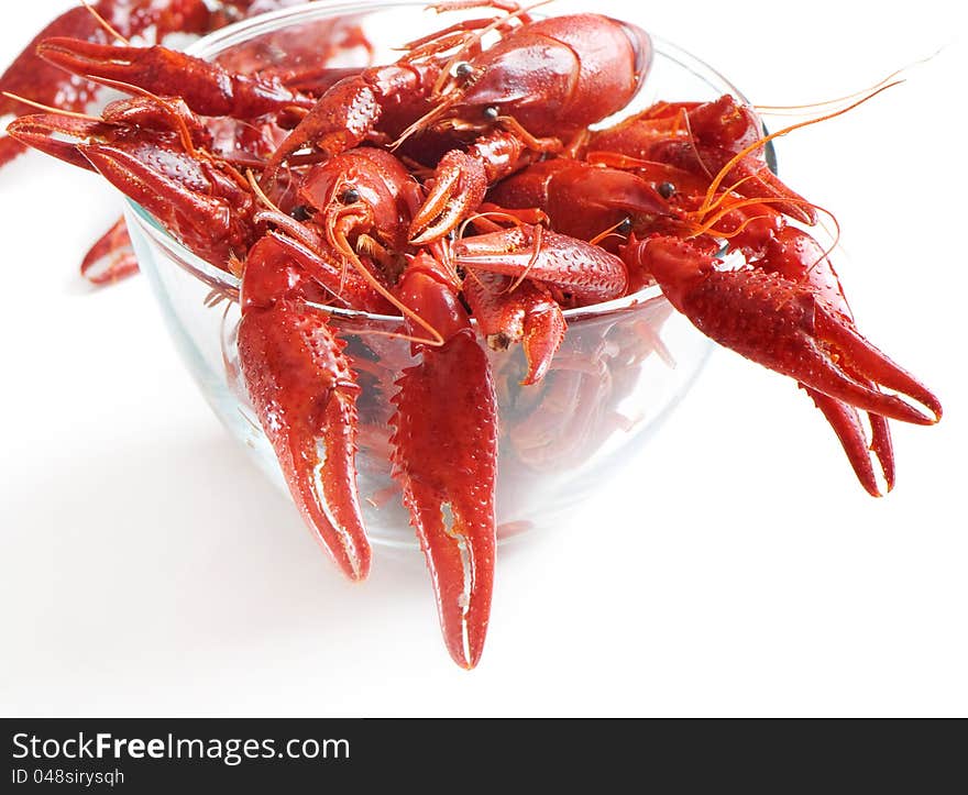 Boiled crawfish on white background