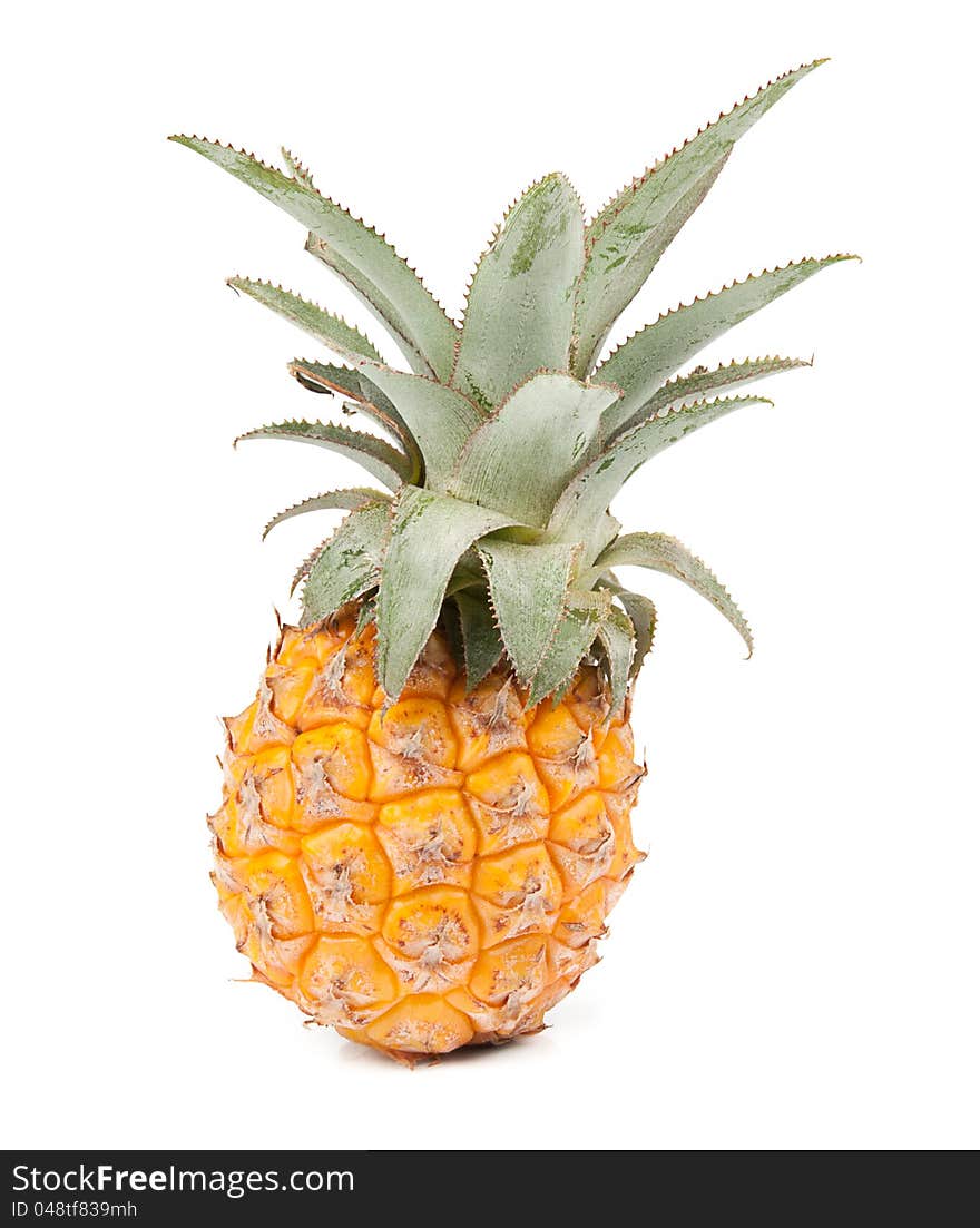 Fresh  pineapple isolated on white background. Fresh  pineapple isolated on white background