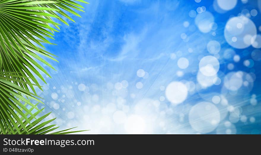 Abstract spring backgrounds with beautiful bokeh and palm leaves