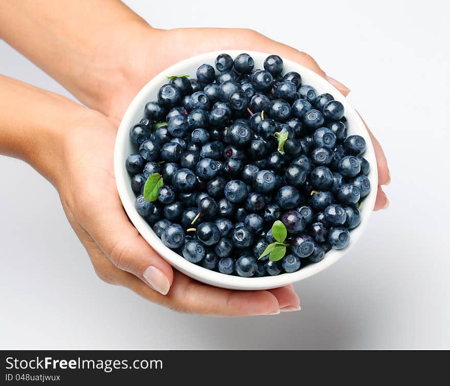 Crockery with blueberries in woman hands. Isolated on a white background. Crockery with blueberries in woman hands. Isolated on a white background.