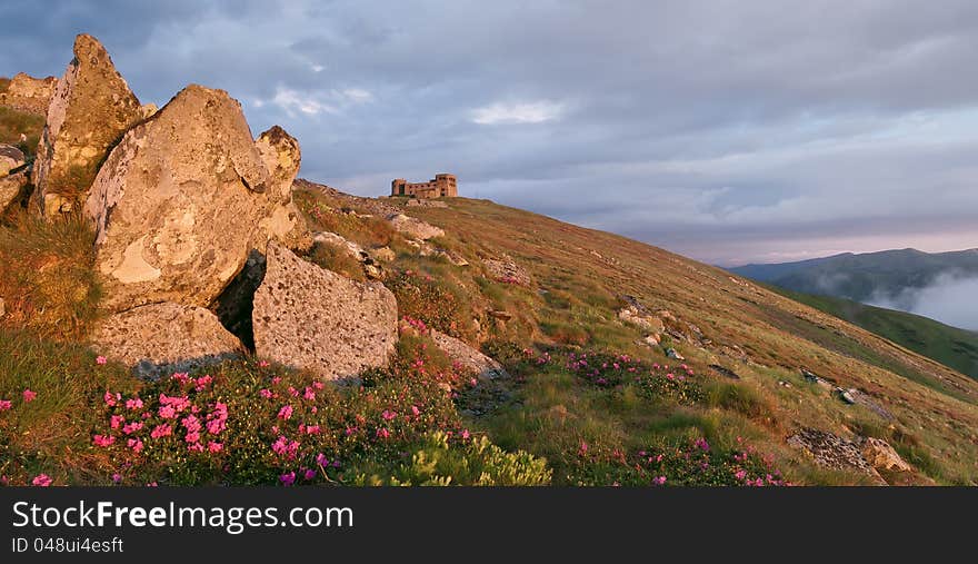 Spring landscape with the cloudy sky and Flower