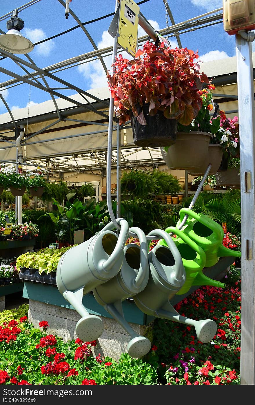 Watering cans on display at a garden supply store against a background of annual and perennial plants