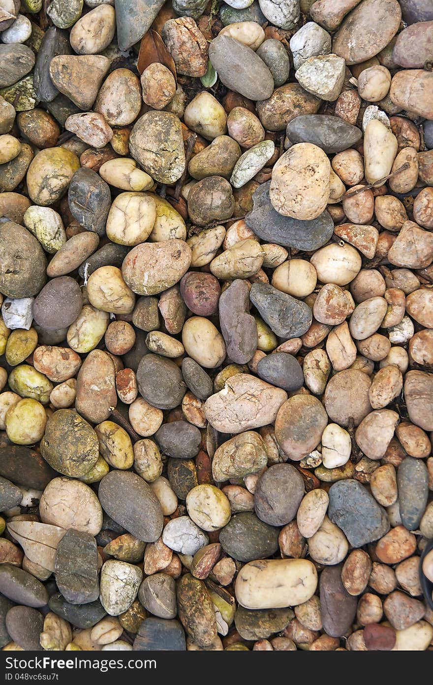 Stones of different colors With moss .