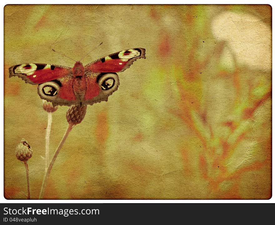 Grunge Butterfly Background