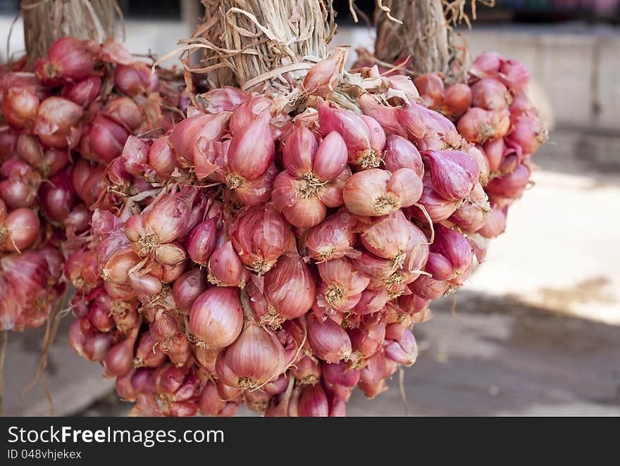 Close Up Of Shallots