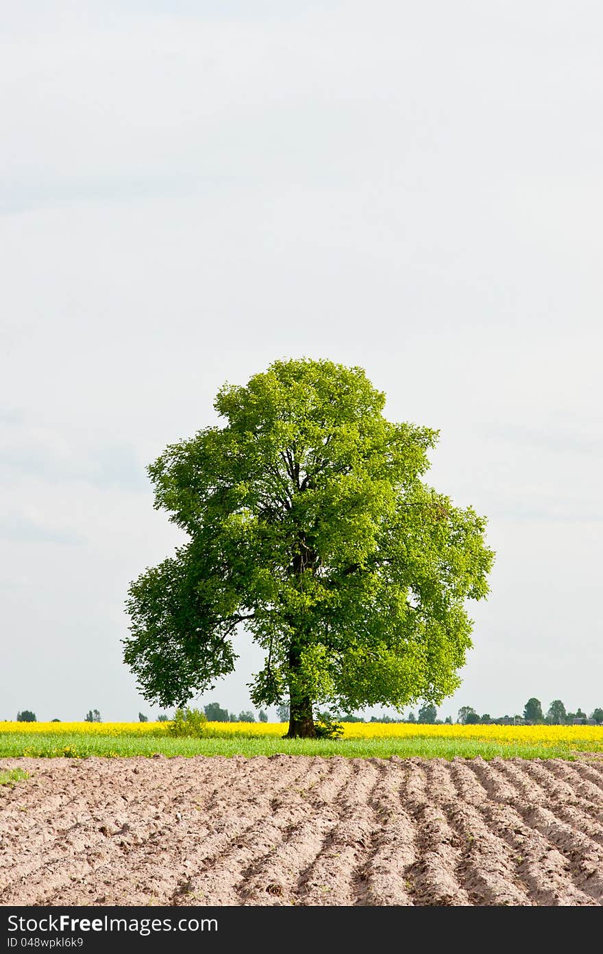 Rural landscapes are plowed field