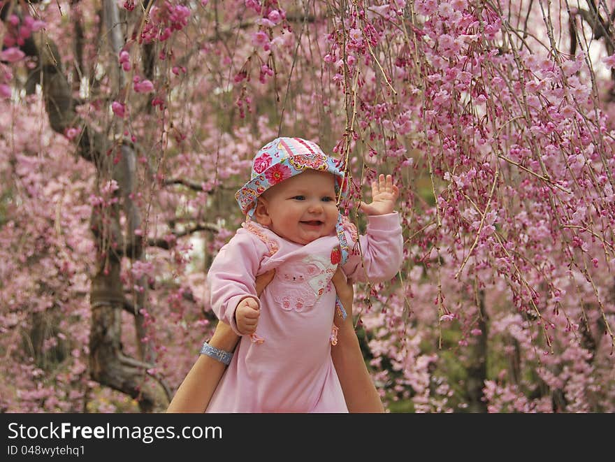 Mother lifting up her cute little daughter to touch sakura. Express love, joy and happiness. Mother lifting up her cute little daughter to touch sakura. Express love, joy and happiness.