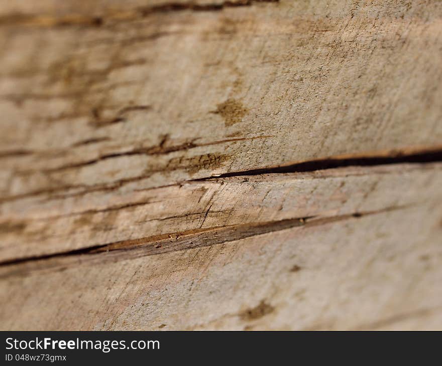 Wood Texture