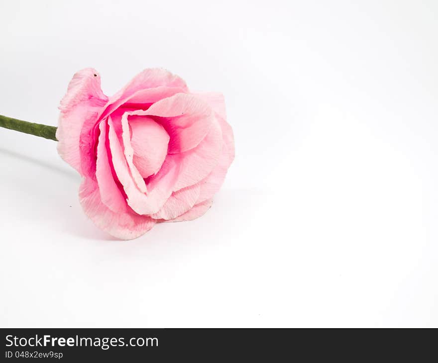 This is a pink Artificial flower on white background and it's have a shadow