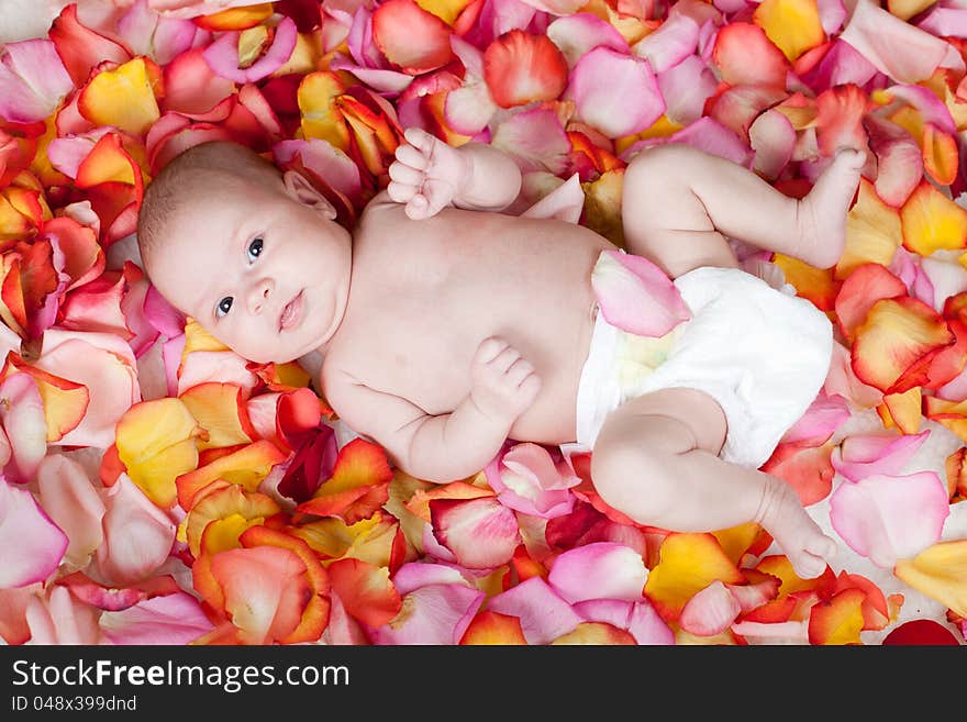 Happy newborn baby girl lying among rose petals