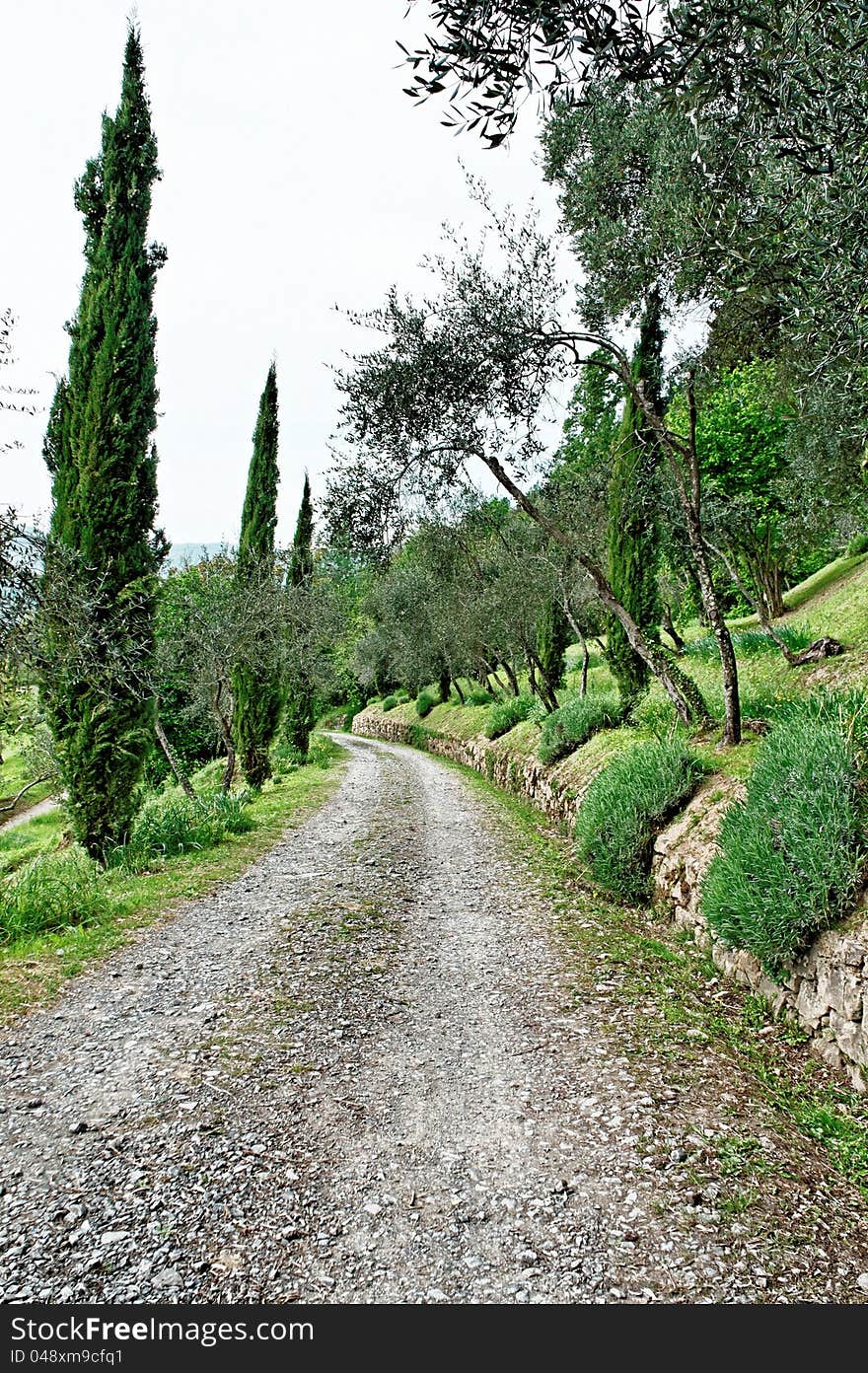 Tuscan country